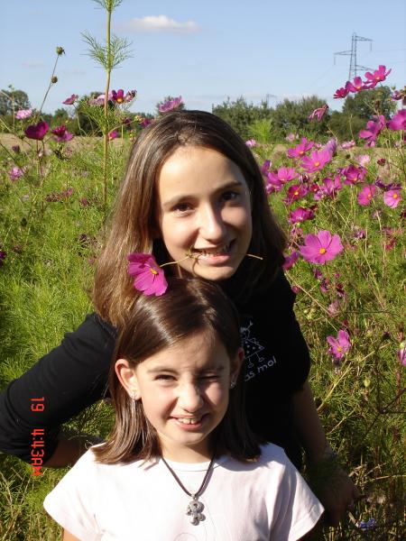 Les fleurs